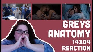 Greys Anatomy 14x04 Video [upl. by Erika290]