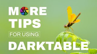 7 MORE Tips for Using Darktable [upl. by Lochner97]