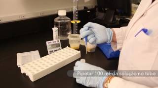 TREINAMENTO  MICOTOXINAS  Teste Aflatoxina [upl. by Schonthal]