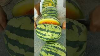 Yellow flesh triploid seedless watermelon agriculture harvestshorts [upl. by Zolner]