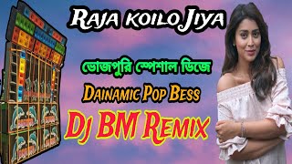 Raja koilo jiya  Dj BM remix djbmmix djremix djsong djs djsusovanmix  YouTube Music [upl. by Fritz171]