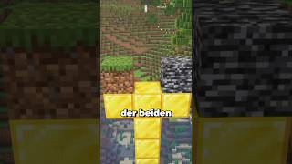 Die Größten UNTERSCHIEDE von Minecraft Java und Bedrock… minecraft minecraftshorts maggus [upl. by Nwahs]