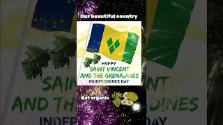 ST VINCENT amp THE GRENADINES INDEPENDENCE DAY happyindependenceday stvincentandthegrenadines fyp [upl. by Eladnar623]