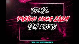 VEDM2 124 PUNCH KICKS 2024 [upl. by Whyte]