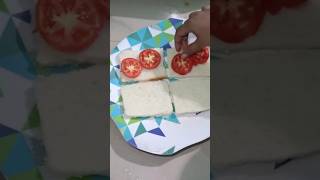 Veg Sandwich 🥪  shots trending youtubeshorts majemaje school [upl. by Okiam303]