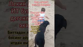 s 🐶Итинг дуст булса булсин дустинг ИТ булмасин🐶 s 🐶 [upl. by Ambert340]