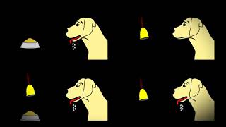 Ivan Pavlov’s Dog Experiment – What is Conditioned Reflex [upl. by Nerred]