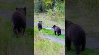 5 Natl Parks in 30 Seconds ALASKA VERSION [upl. by Audie]