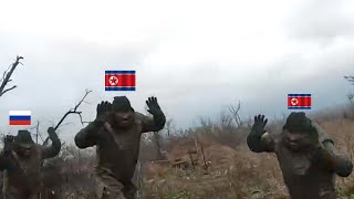 Ukrainian FPV drones brutally destroy North Korean and russian Soldiers [upl. by Htidirem332]