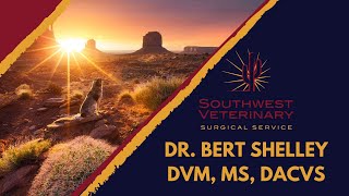 Dr Bert Shelley Bio [upl. by Ecinev]