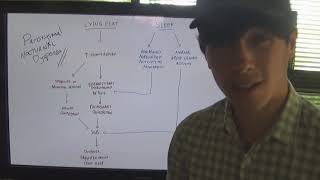 What is the mechanism of paroxysmal nocturnal dyspnoea [upl. by Mcgean]