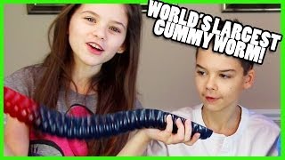 The Worlds Largest Gummy Worm  KittiesMama [upl. by Yoreel]