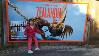 ZEALANDIA  Discover The Wild Side Of Wellington New Zealand [upl. by Huesman]