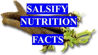 SALSIFY  HEALTH BENEFITS AND NUTRITION FACTS [upl. by Radek869]