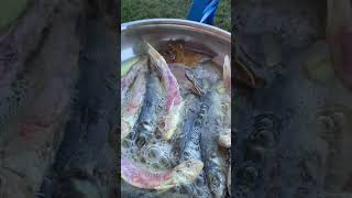 Cooking dried fish in the backyard [upl. by Ric]