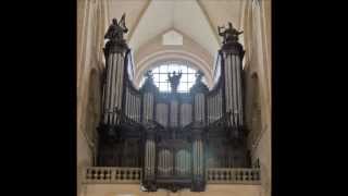 Olivier Messiaen  Transports de Joie JeanClaude Raynaud Saint Sernin Toulouse [upl. by Queen]