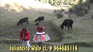 Los Walys Santiago no quiero casarme canta Mery Huaringa [upl. by Enrol234]