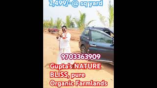 Pure ORGANIC Farmlands with Monthly 60000 rental Tiny houses 9703363909 tiny organic free [upl. by Sola819]