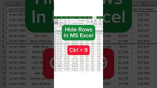 Hide rows in MS Excel [upl. by Losse198]