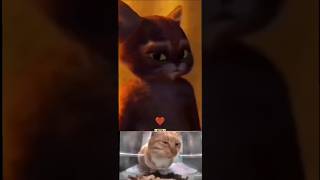 Power of money ☠️😱video short cat [upl. by Igiul]