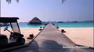 Angsana Velavaru Resort in Maldives travel resort hotels [upl. by Ykcir88]