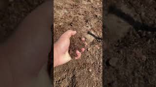 Roof garden soil after Mixing gardening nature ytshorts [upl. by Grous]