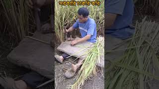 সরকারি চাকুরী 🥲 viral shorts funny [upl. by Nessaj]