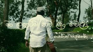 මා ලඟටම තව ළං වෙලා  Ma Lagatama Thawa Lan Wela  Cover by Yogith Piumantha [upl. by Fraser]