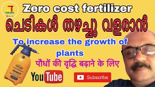 DIY Fertilizer  Cheap Homemade Fertilizer Solutions [upl. by Nylime]