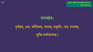 10th Shemushi Lesson 11  Class 10 Sanskrit  Shemushi Part 2  Samskrit Promotion Foundation [upl. by Pihc]