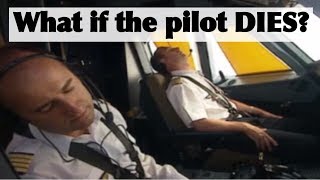 What if the pilot DIES  Pilot incapacitation [upl. by Nema]