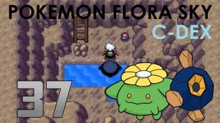 Pokémon Flora Sky CDex Walkthrough Part 37 Joltik Makes a Good Slave [upl. by Ralleigh]