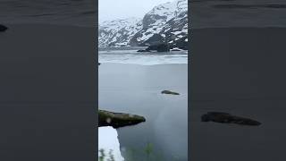 Train ride to Geilo travel snow beautifulplaces amazing [upl. by Adohr]