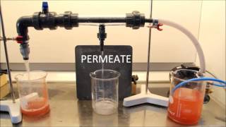 Cross Flow Filtration on SiC Membranes [upl. by Anahahs813]