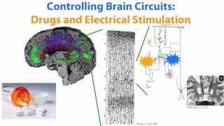 Ed Boyden on Optogenetics  selective brain stimulation with light [upl. by Ailaham]