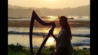 Inisheer  Irish ballad  Celtic harp amp low whistle [upl. by Cramer340]