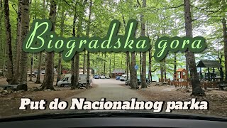 Put do Nacionalnog parka Biogradska gora i Biogradskog jezera [upl. by Orbadiah270]