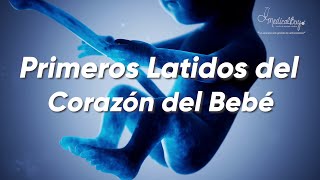 Primeros Latidos del Corazón del Bebé 👶🤰🧬 [upl. by Hcahsem]