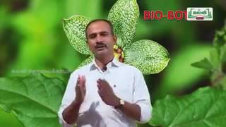 KALVI TV 12th STD BIO  BOTANY 1st LESSON PART 1 VIDEO [upl. by Mohandis]