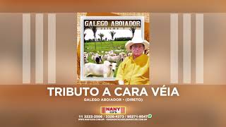 Galego Aboiador  Tributo a Cara Véia [upl. by Iot537]