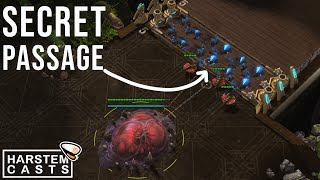 New Map Proxy hatch CHEESE in GSL [upl. by Largent]