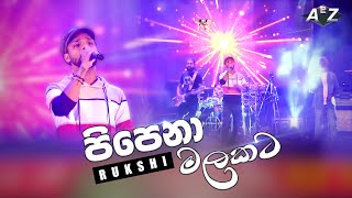 Pipena Malakata  දැනෙනා බුදු ගුණ නොදැදෙන මිනිසුනි  Rukshi [upl. by Eisinger930]