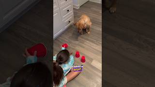 Dog Tired of Doing Tricks for Treats  RxCKSTxR Comedy Voiceover [upl. by Yeknarf638]