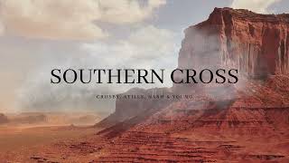 Southern Cross  Crosby Stills Nash amp Young TraduçãoLegendado [upl. by Sharity]