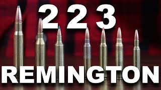 What Can the 223 Remington Really Do [upl. by Gilcrest]