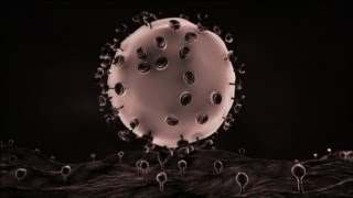 Welcome to the Era of Nanomedicine [upl. by Akenit]