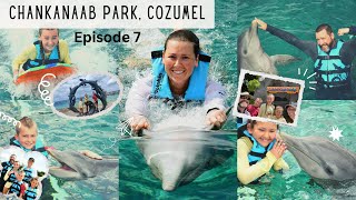 Chankanaab Adventure Park  Cozumel  Dolphin Swim Review amp Sea Lion Show [upl. by Ephrayim350]