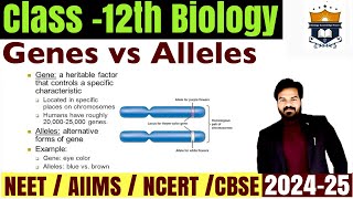 Gene vs Allele difference  Difference between Genes and Allele class 12 Biology  NEET [upl. by Kei]