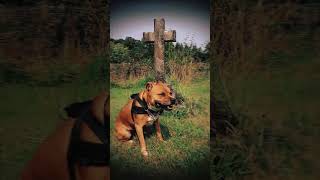 Bridgnorth Cemetery [upl. by Whale]