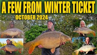 A FEW CARP FROM WINTER TICKET OCTOBER 2024  carp fishing [upl. by Pail]